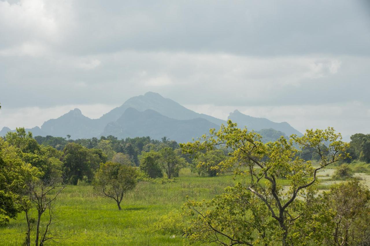 Sigiriya Wewa Addara Hotel - Hotel By The Lake Екстериор снимка